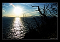 070704_PIGiens_022 copieC